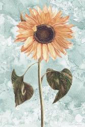 Vintage Sunflower | Obraz na stenu