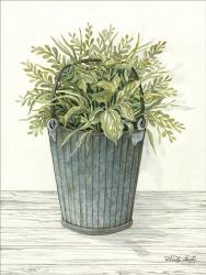 Old Bucket of Greenery | Obraz na stenu