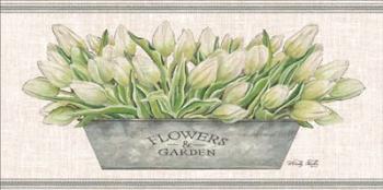 Flowers & Garden White Tulips | Obraz na stenu