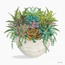 Succulent on White II | Obraz na stenu