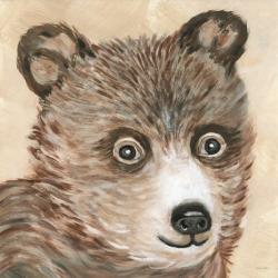 Brody the Bear | Obraz na stenu