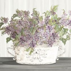 Lilac Galvanized Pot | Obraz na stenu