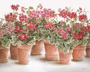 Potted Geranium Mix I | Obraz na stenu