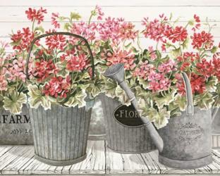 Potted Geranium Mix II | Obraz na stenu