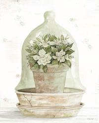 Floral Cloche I | Obraz na stenu