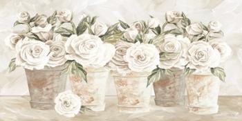 Potted Roses | Obraz na stenu