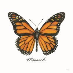 Monarch | Obraz na stenu