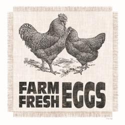 Farm Fresh Eggs | Obraz na stenu