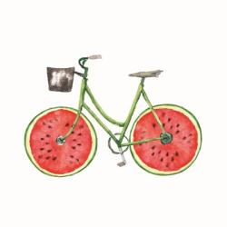 Watermelon Bike | Obraz na stenu