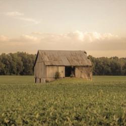 Rural Barn | Obraz na stenu