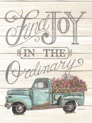 Find Joy in the Ordinary | Obraz na stenu