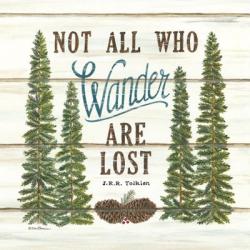 Not All Who Wander are Lost | Obraz na stenu