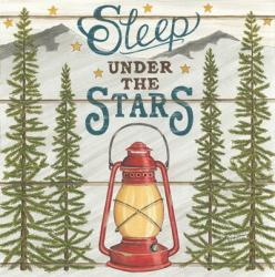 Sleep Under the Stars | Obraz na stenu