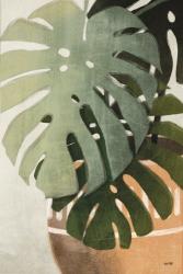 Monstera Leaves | Obraz na stenu