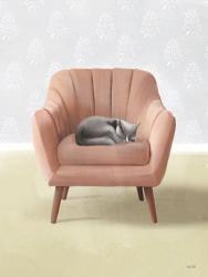 Nap Time Gray Cat | Obraz na stenu