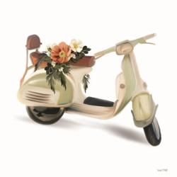 Flower Garden Scooter | Obraz na stenu