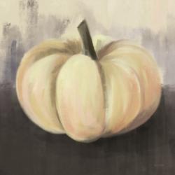 White Rustic Pumpkin | Obraz na stenu