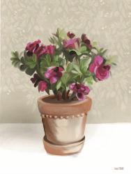 House Begonia Plant | Obraz na stenu