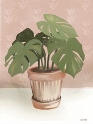 House Monstera Plant | Obraz na stenu