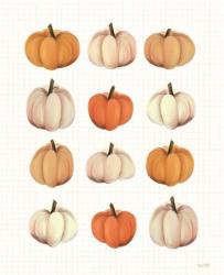 Lots of Pumpkins | Obraz na stenu