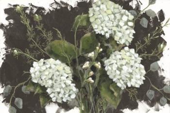 Hydrangeas in White | Obraz na stenu