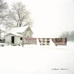 Quilts in Snow | Obraz na stenu