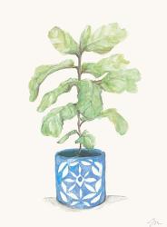 Fiddle Leaf Plant | Obraz na stenu
