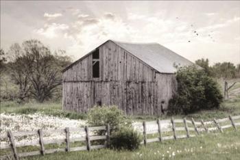 Barnsville Barn | Obraz na stenu