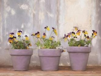 Pansy Still Life I | Obraz na stenu