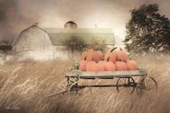 Pumpkin Harvest | Obraz na stenu