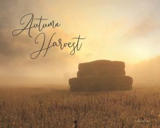 Autumn Hay Harvest | Obraz na stenu