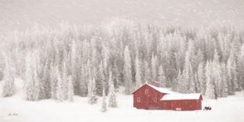 Old Wyoming Barn | Obraz na stenu