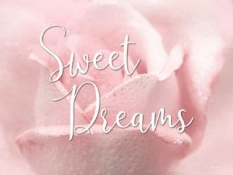 Sweet Dreams | Obraz na stenu