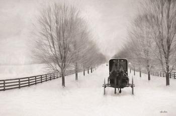 Snowy Amish Lane | Obraz na stenu