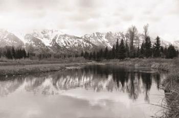 Tetons at Schwabachers Landing | Obraz na stenu