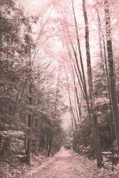 Pink Forest | Obraz na stenu