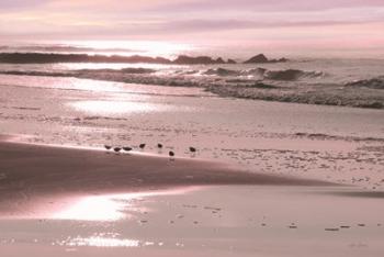 Breakfast on the Beach | Obraz na stenu