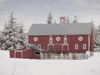 Red Barn in the Pines | Obraz na stenu