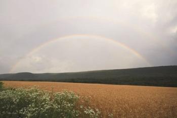 Summer Rainbow | Obraz na stenu