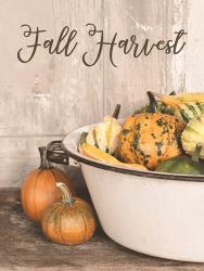 Fall Harvest | Obraz na stenu