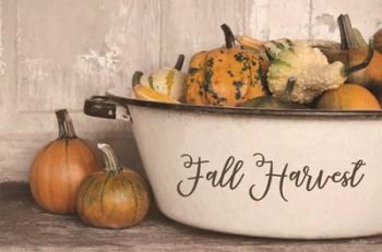 Fall Harvest | Obraz na stenu