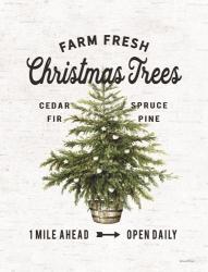 Farm Fresh Christmas Trees I | Obraz na stenu