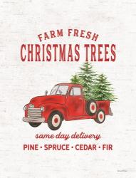 Christmas Trees Delivery Truck | Obraz na stenu