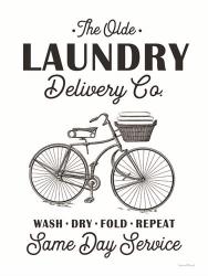 Laundry Delivery Co. | Obraz na stenu