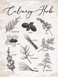 Culinary Herbs | Obraz na stenu