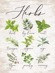 Herbs | Obraz na stenu