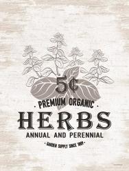 Herbs | Obraz na stenu