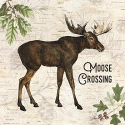 Moose Crossing | Obraz na stenu