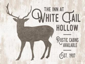 White Tail Hollow | Obraz na stenu