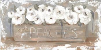 Peach Box Florals | Obraz na stenu